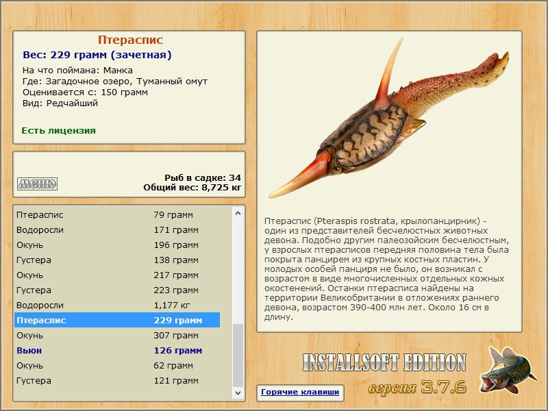 Туманный омут 