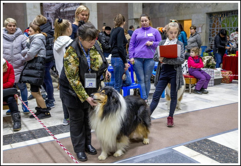  Обновления на сайте питомника \\