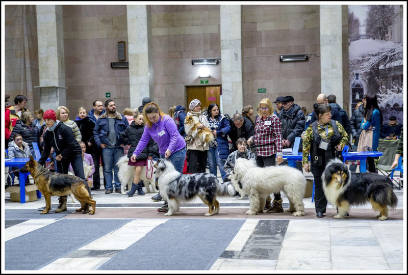  Обновления на сайте питомника \\