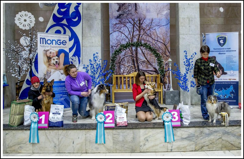  Обновления на сайте питомника \\