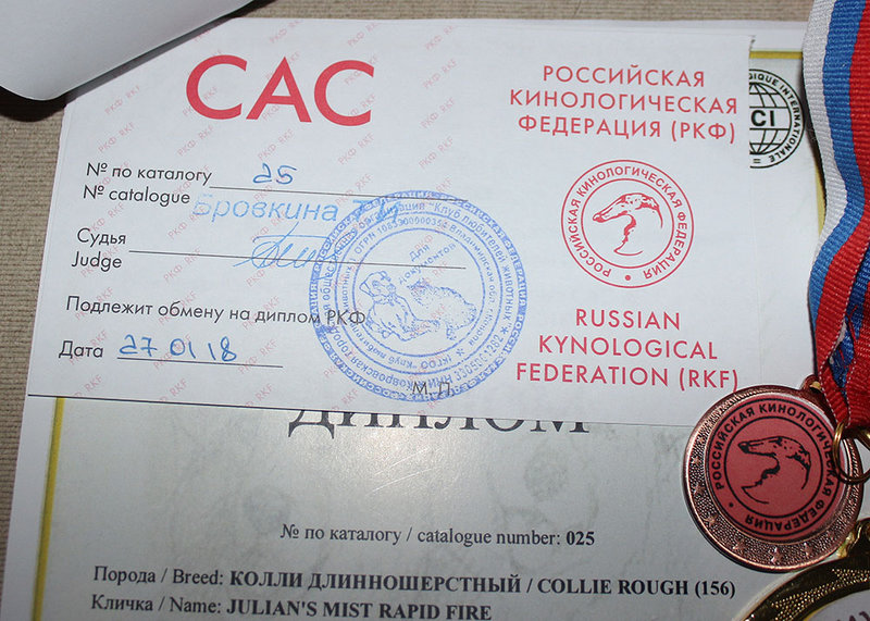 ФОРУМ ЛЮБИТЕЛЕЙ КОЛЛИ И ШЕЛТИ 