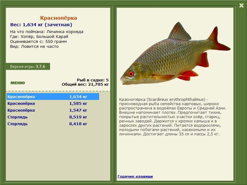 Большой Карай 