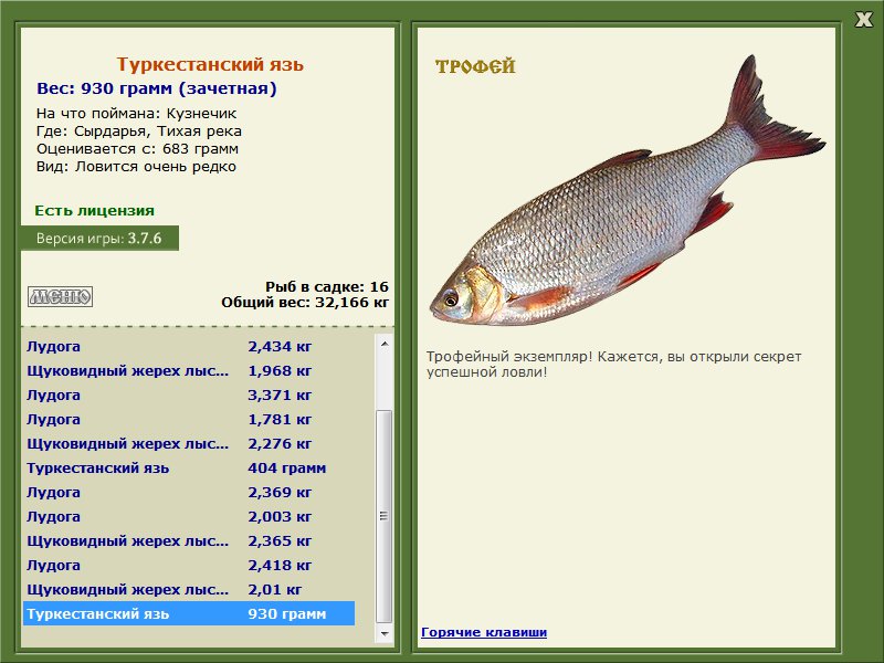 Тихая река 