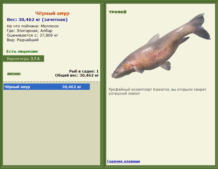турниры • РУССКАЯ РЫБАЛКА