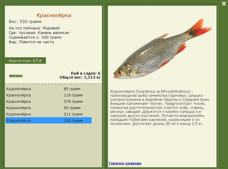 Камень великан 