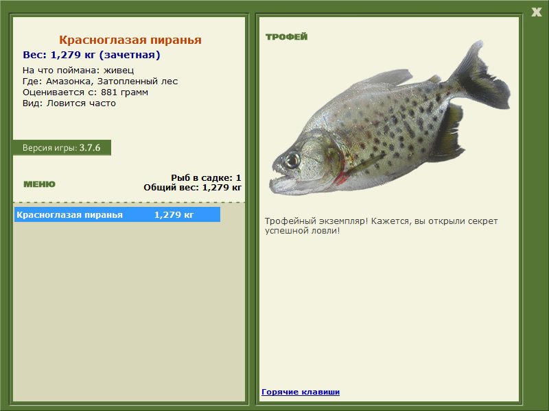 Затопленный лес 