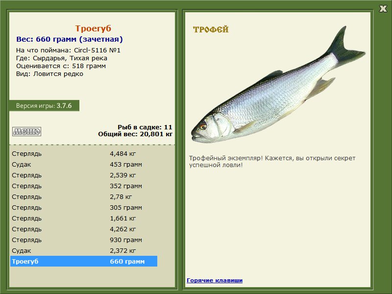 Тихая река 