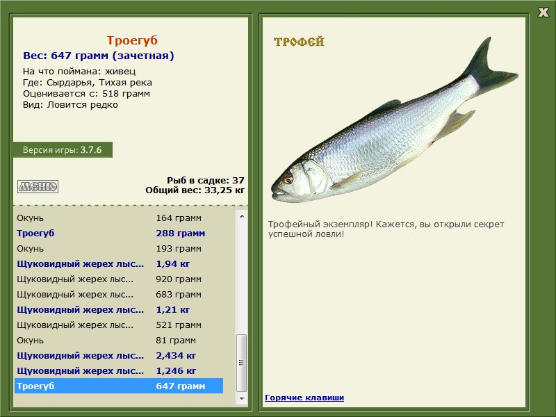 Тихая река 