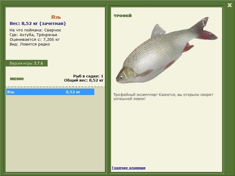 турниры • РУССКАЯ РЫБАЛКА