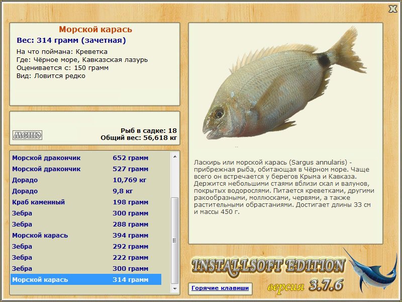 турниры • РУССКАЯ РЫБАЛКА