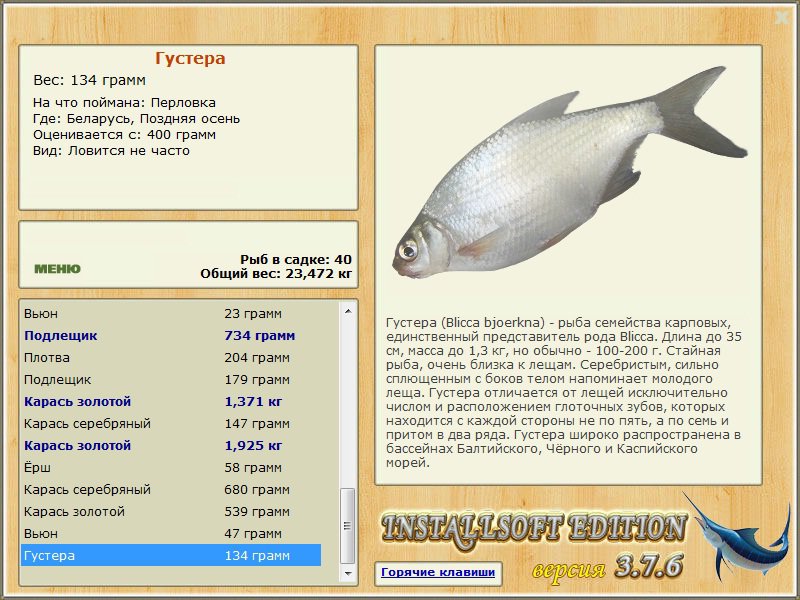 турниры • РУССКАЯ РЫБАЛКА