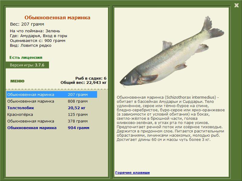 Вход в горы 