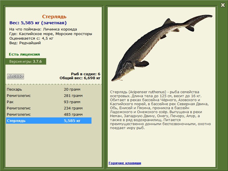 Каспийское море 