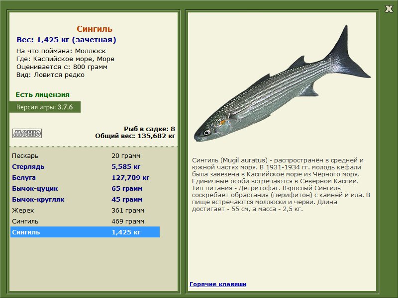 Каспийское море 