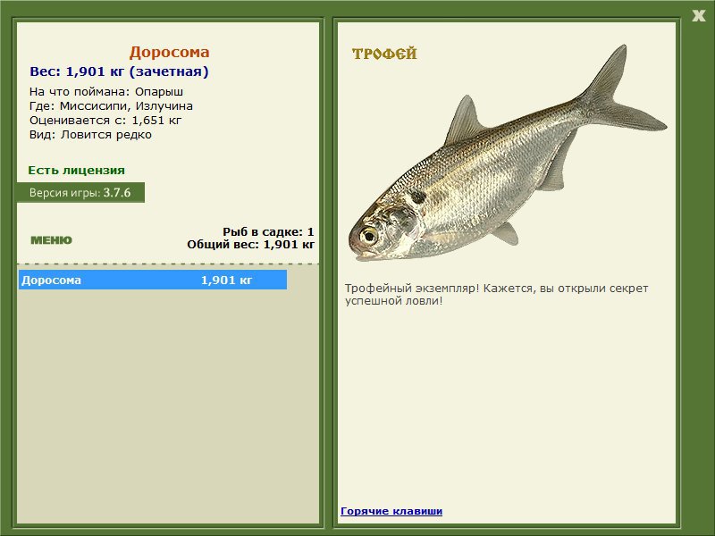 Доросома 
