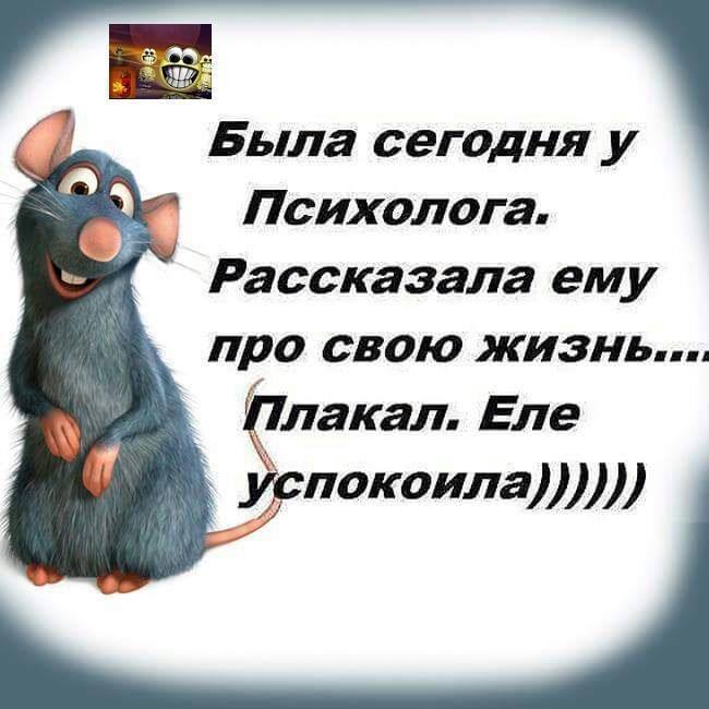  Прикольные фото