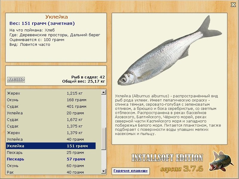 Деревенские просторы 