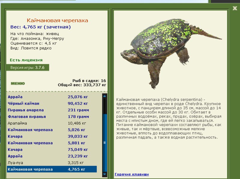турниры • РУССКАЯ РЫБАЛКА