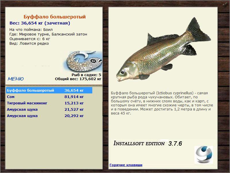 Балканский затон 