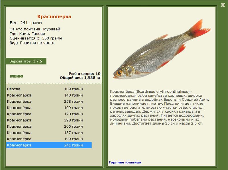 РУССКАЯ РЫБАЛКА Installsoft Edition 