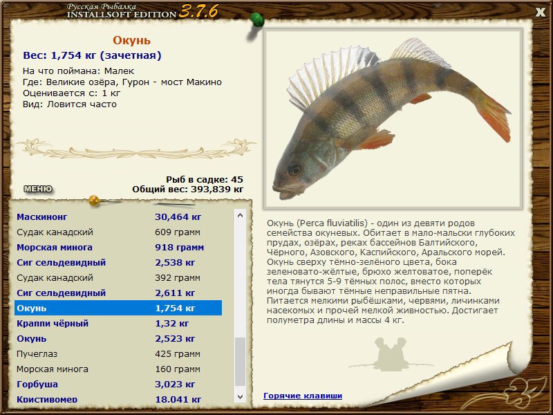 турниры • РУССКАЯ РЫБАЛКА