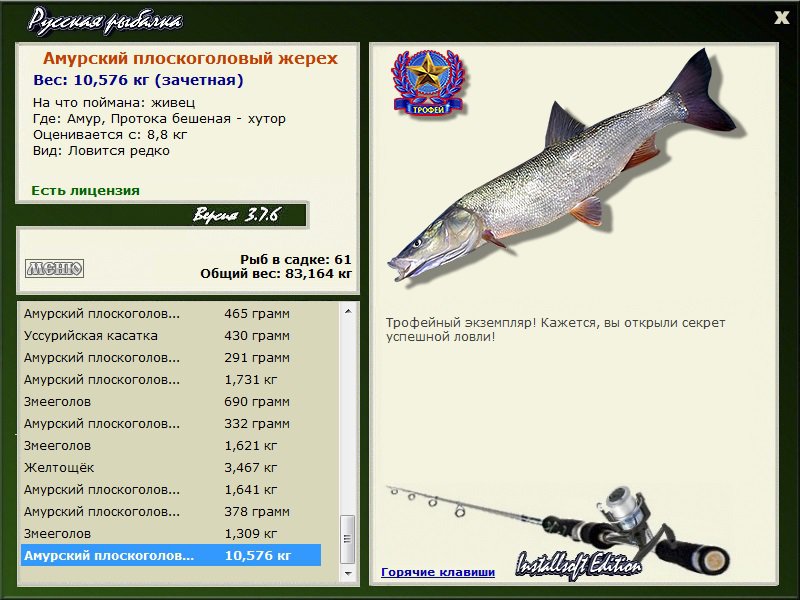 Амурский плоскоголовый жерех 