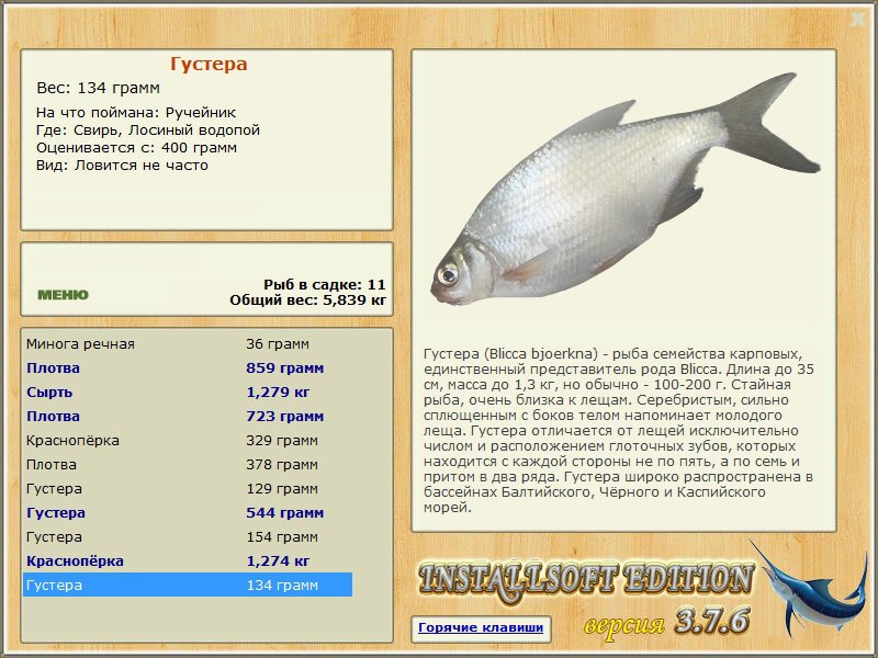 турниры • РУССКАЯ РЫБАЛКА