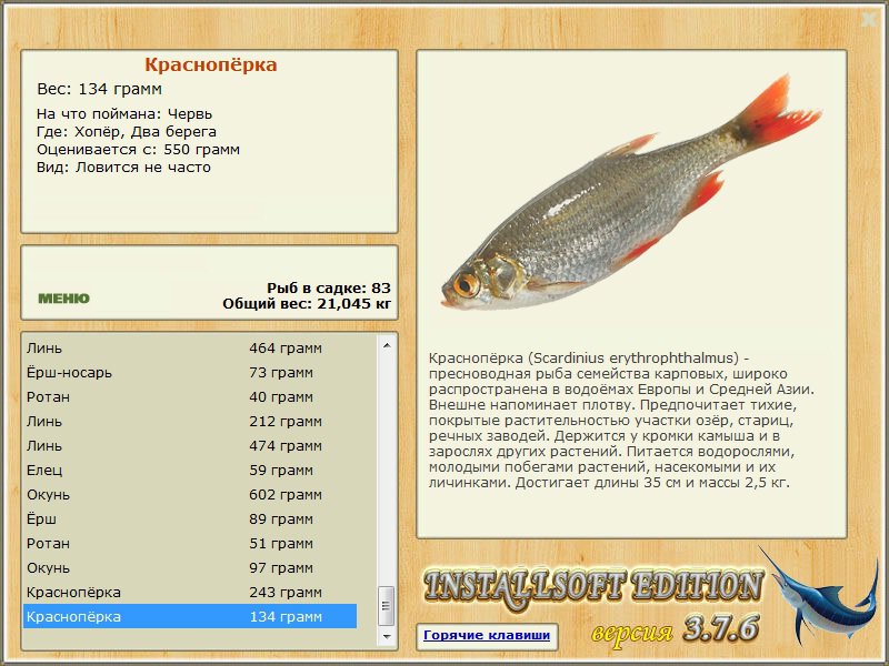 турниры • РУССКАЯ РЫБАЛКА