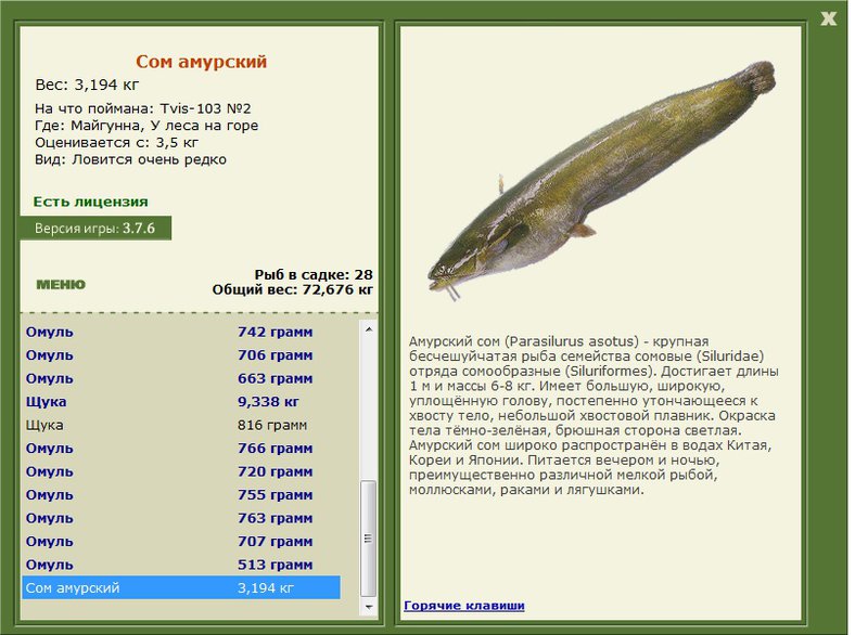 турниры • РУССКАЯ РЫБАЛКА