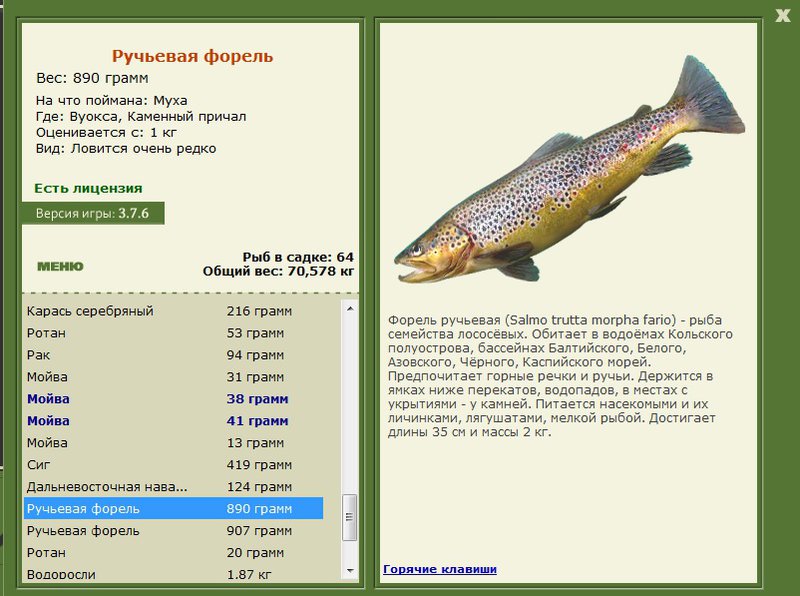 турниры • РУССКАЯ РЫБАЛКА