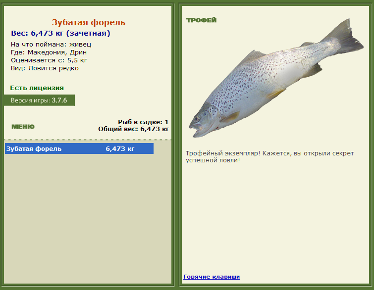 турниры • РУССКАЯ РЫБАЛКА