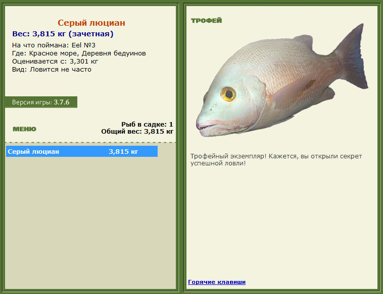 турниры • РУССКАЯ РЫБАЛКА