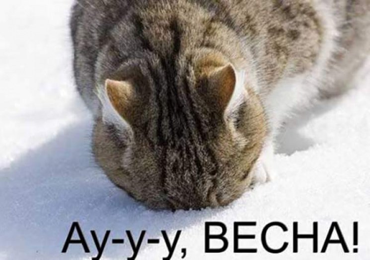  Всем привет