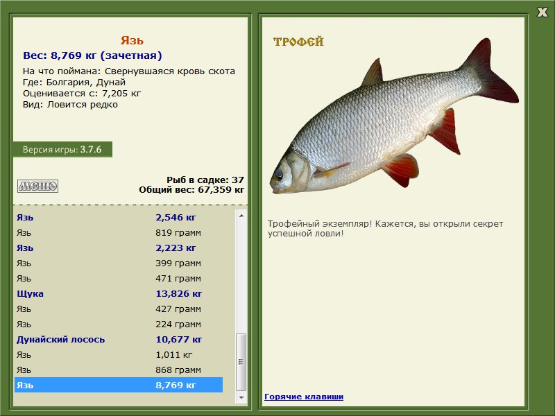 Дунай 