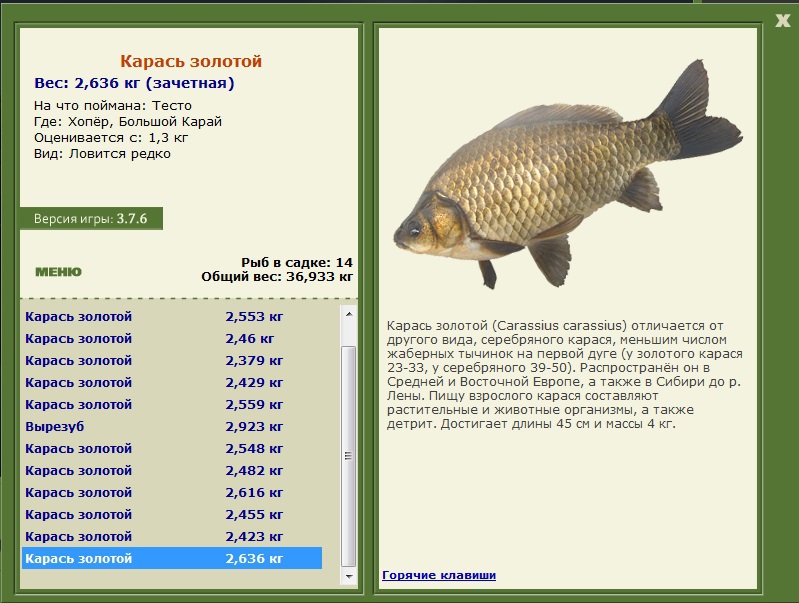 турниры • РУССКАЯ РЫБАЛКА