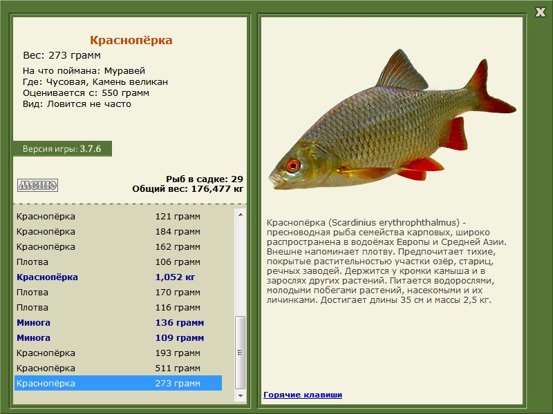 Камень великан 