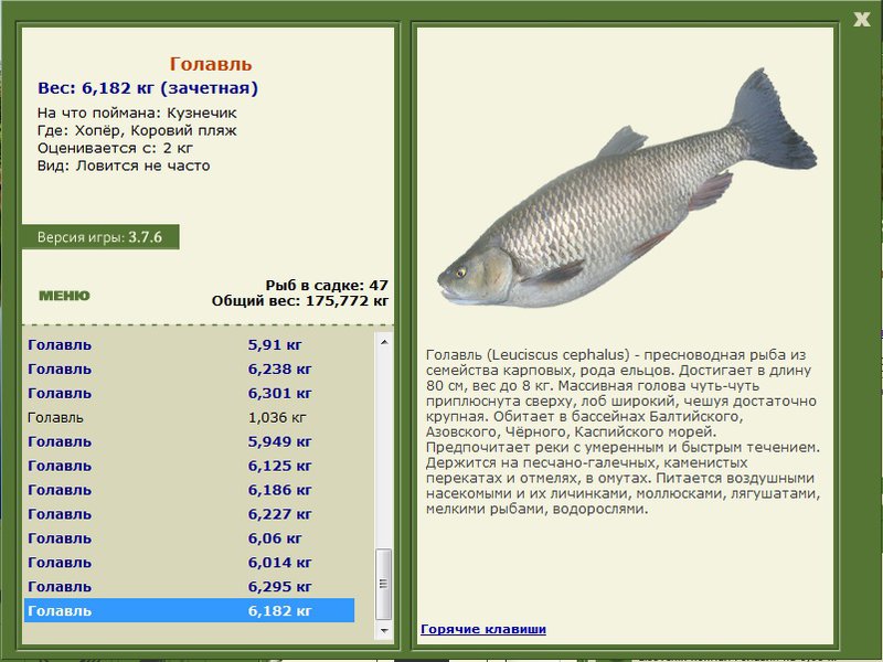 турниры • РУССКАЯ РЫБАЛКА