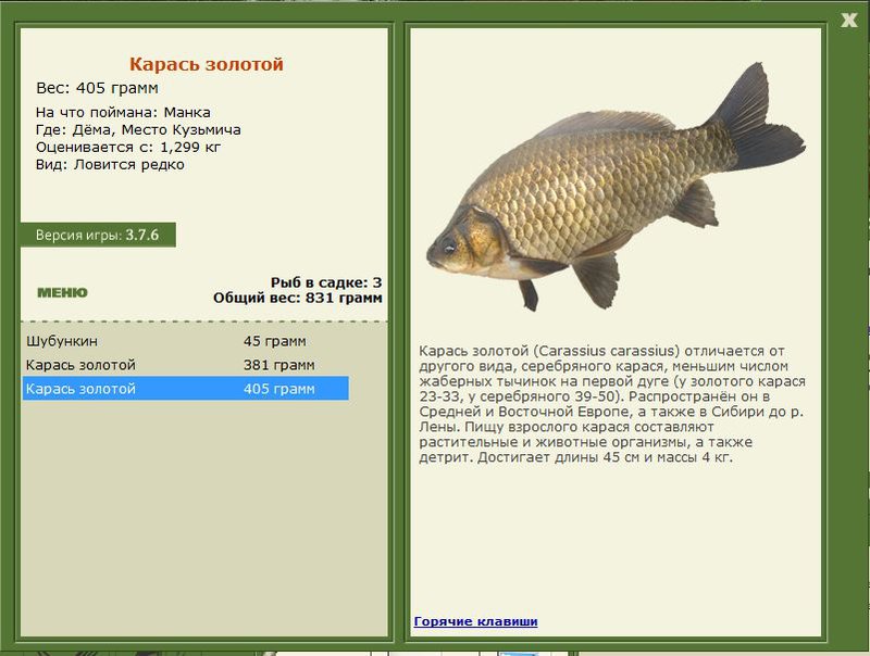 РУССКАЯ РЫБАЛКА Installsoft Edition 
