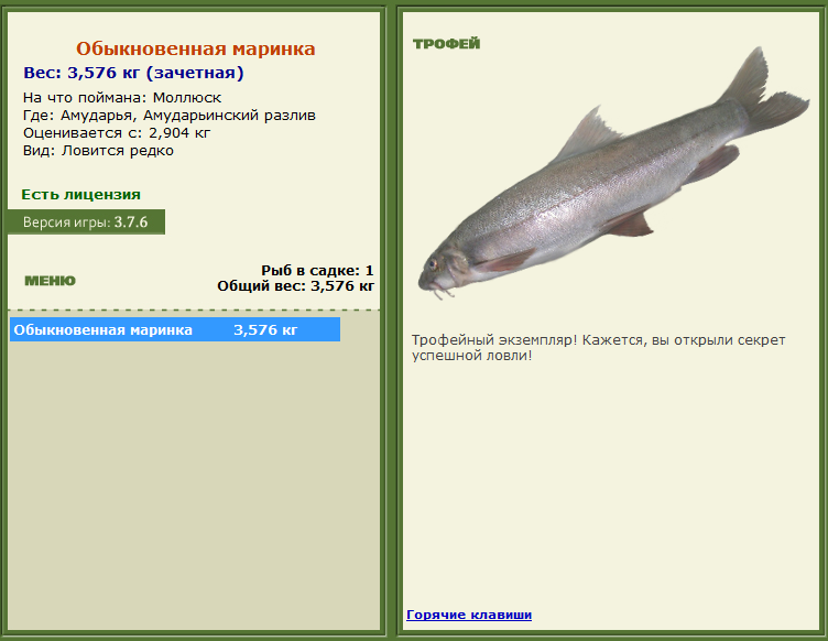 турниры • РУССКАЯ РЫБАЛКА