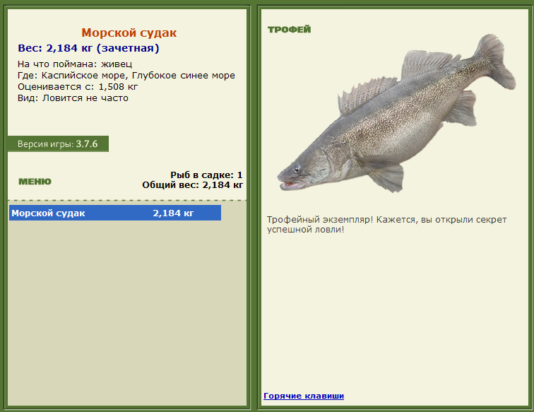 турниры • РУССКАЯ РЫБАЛКА