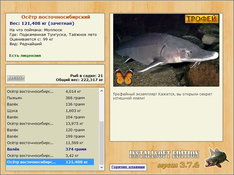 Таёжное лето 