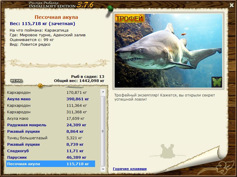 Песочная акула 