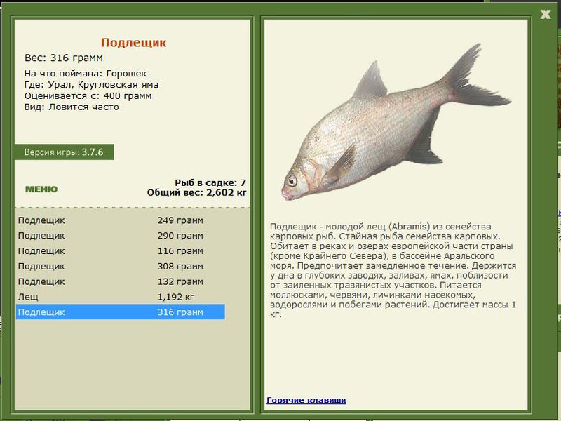 РУССКАЯ РЫБАЛКА Installsoft Edition 