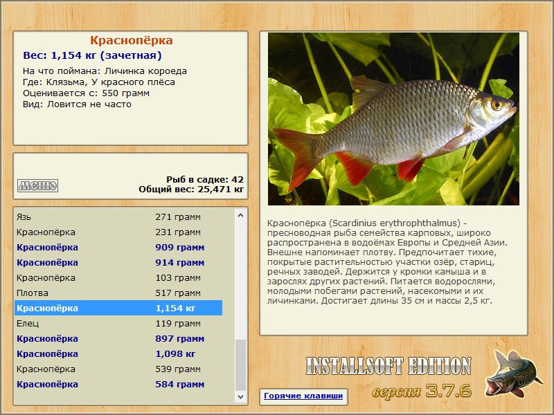 У красного плёса 