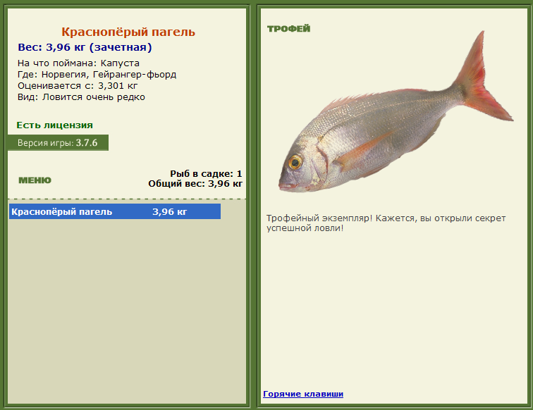 турниры • РУССКАЯ РЫБАЛКА
