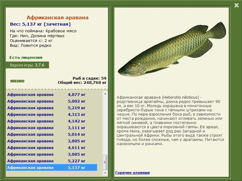 Реальная рыбалка рыбхоз на что ловить арапайма