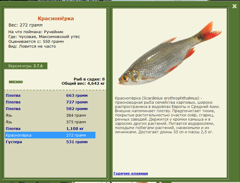 турниры • РУССКАЯ РЫБАЛКА