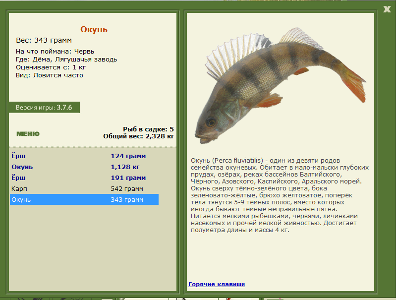 турниры • РУССКАЯ РЫБАЛКА