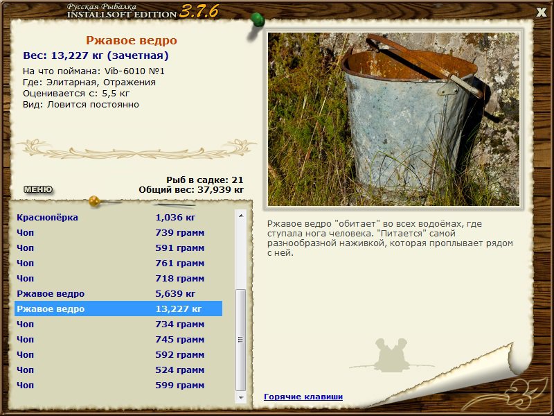 Ржавое ведро 