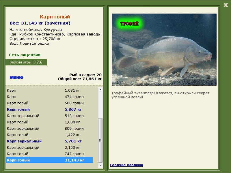 Карповая заводь 